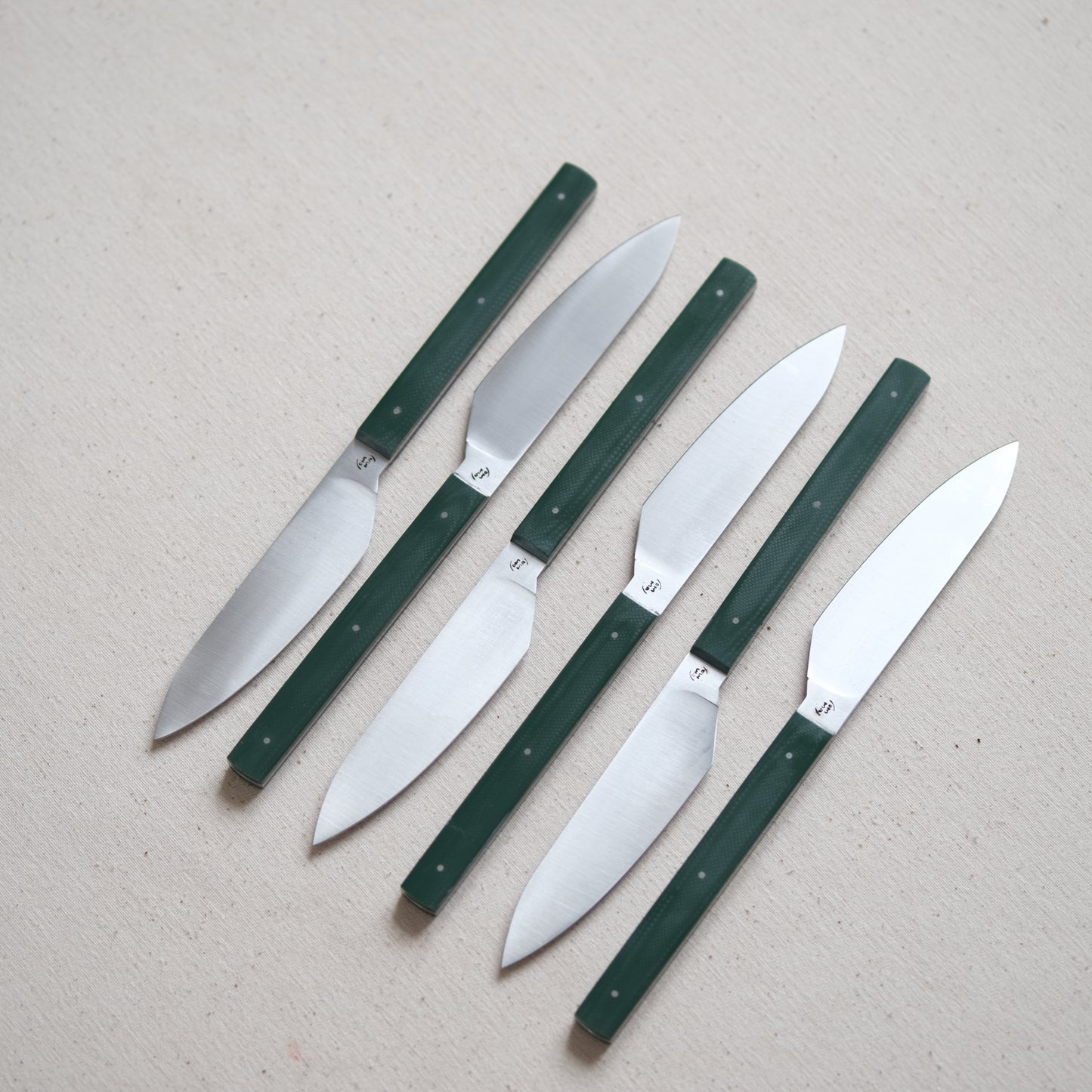 SIKSA • COFFRET DE COUTEAUX DE TABLE FIBRE DE VERRE VERT
