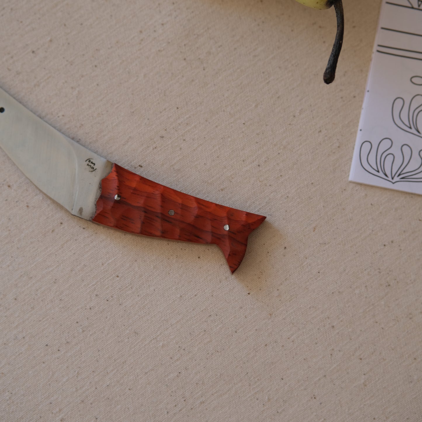 POISSON • Couteau enfant padouk & chêne