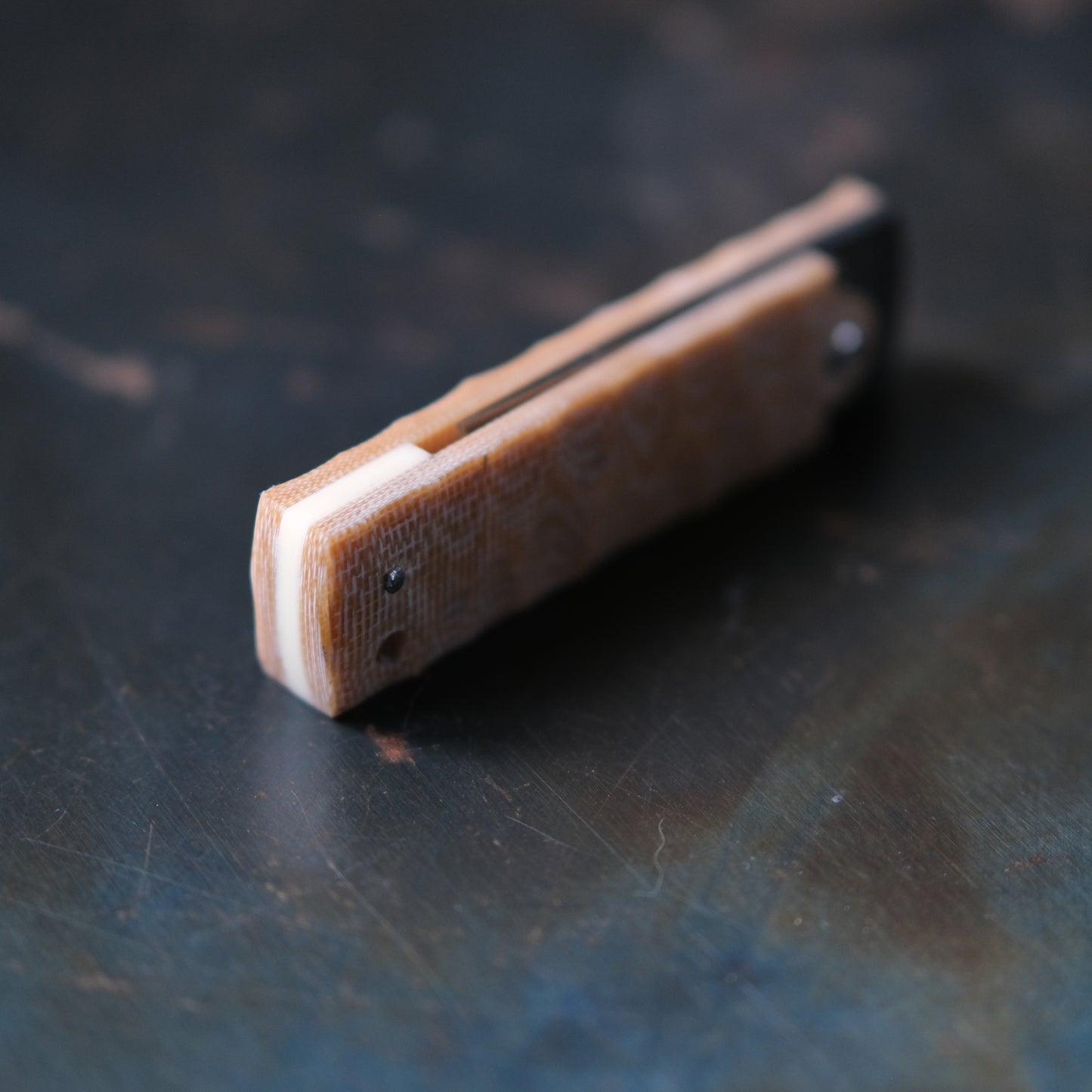 SUNBAE • CUTTER PLIANT BEIGE